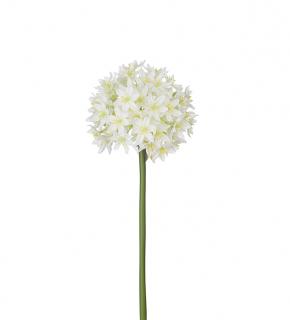Umělá květina - Allium- česnek bílý - 90 cm