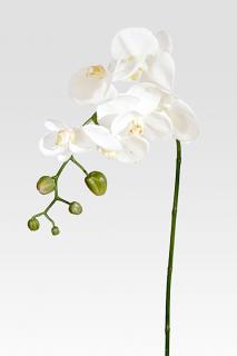 Umělá květina - Orchidea bílá 52 cm