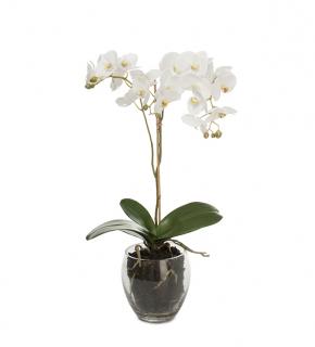 Umělá květina - Orchidea bílá ve skle 65cm