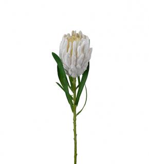 Umělá květina - Protea bílá 60cm