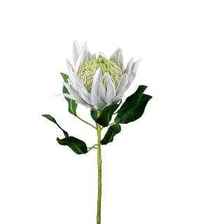 Umělá květina - Protea bílá velkokvětá 70cm