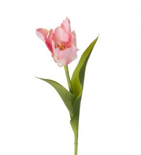 Umělá květina - Tulipán střapatý