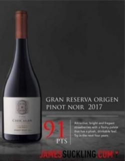 Chocalán Pinot Noir Gran Reserva 2019, 750ml