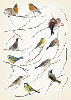 Samolepící dekorace Ptáci, 50x70cm
