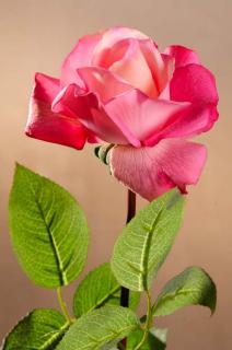 Dekorační květina Růže růžová 67 cm