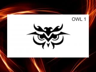 plastová šablona OWL 1